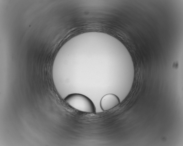 X0000111800421200907301214