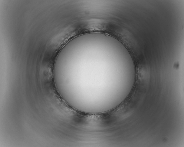 X0000111800422200907301214
