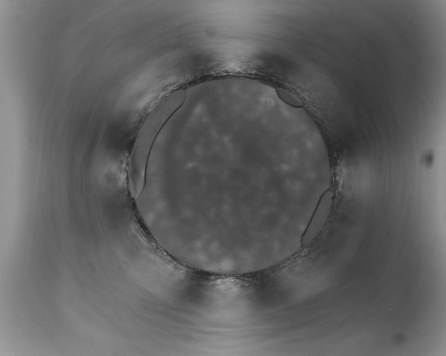 X0000111800423200907301214