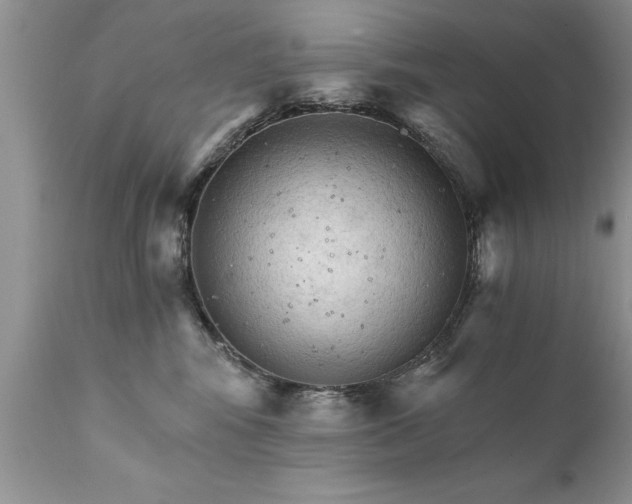 X0000111800424200907301214