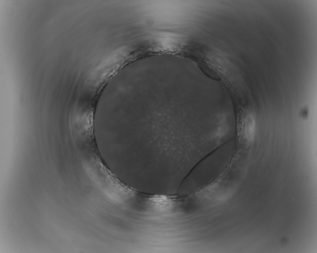 X0000111800425200907301214