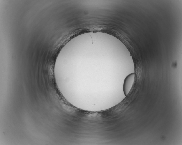 X0000111800426200907301214