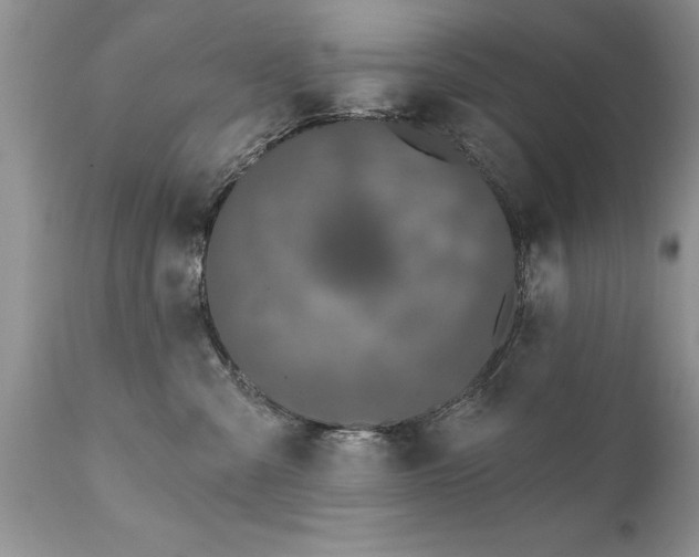 X0000111800427200907301214