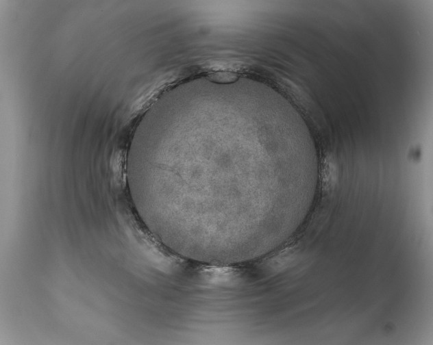 X0000111800428200907301214