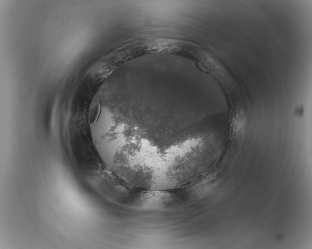 X0000111800429200907301214