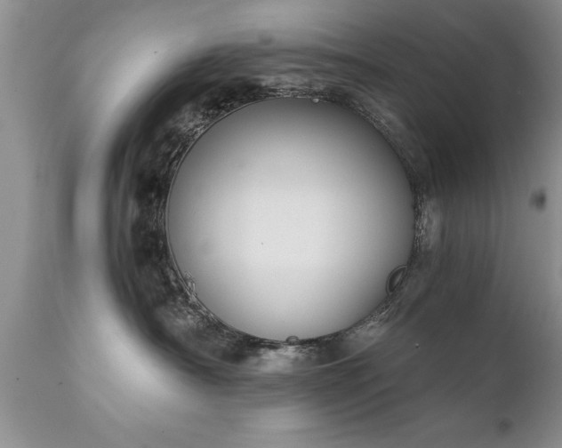 X0000111800430200907301214