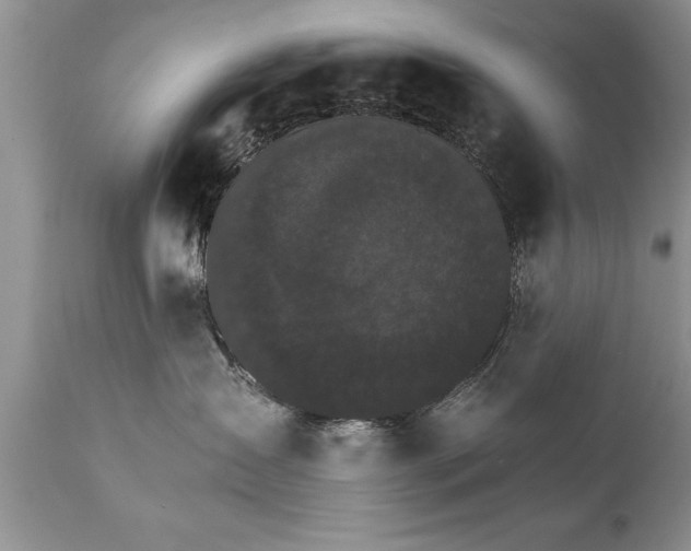 X0000111800431200907301214