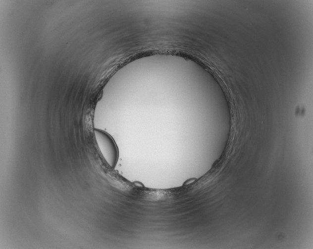 X0000111800432200907301214