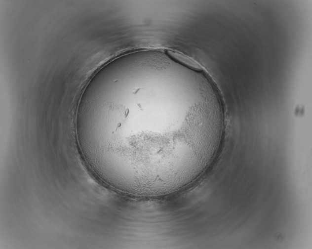 X0000111800433200907301213