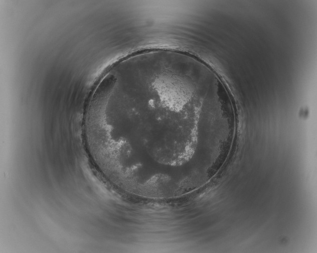 X0000111800434200907301213