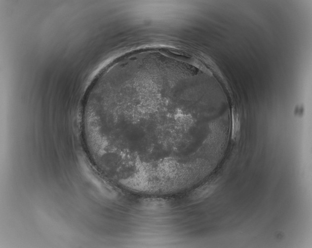 X0000111800435200907301213