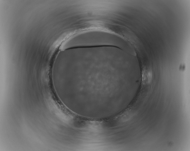 X0000111800436200907301213