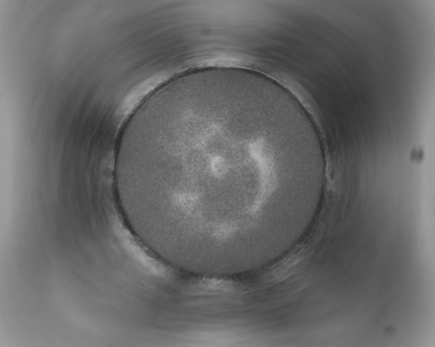 X0000111800437200907301213