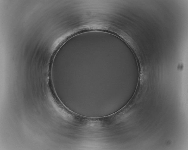 X0000111800438200907301213