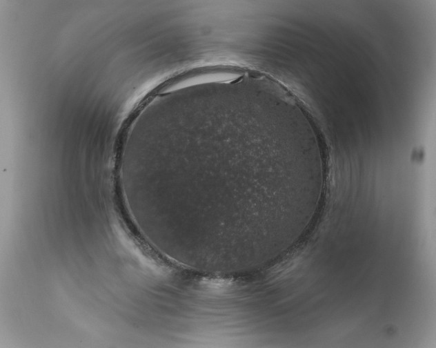 X0000111800440200907301213