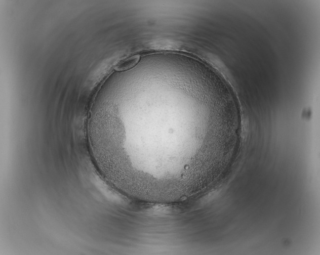 X0000111800441200907301213