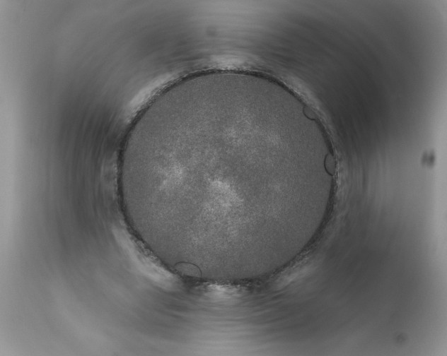 X0000111800442200907301213