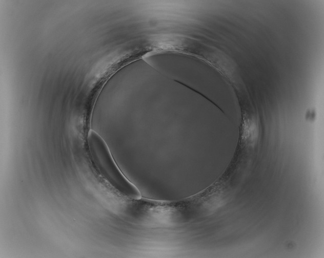 X0000111800444200907301213