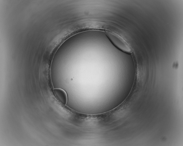 X0000111800445200907301213