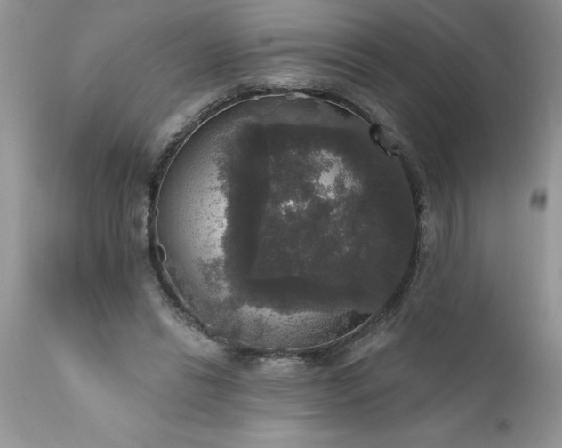 X0000111800446200907301213