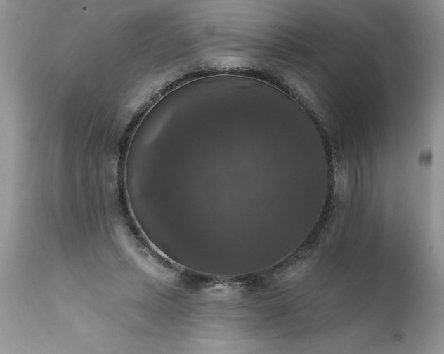X0000111800447200907301213
