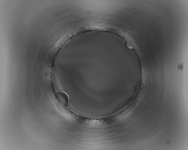 X0000111800449200907301213