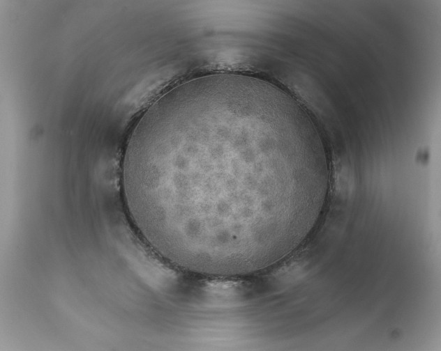 X0000111800450200907301213