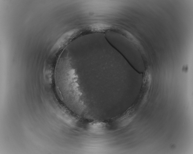 X0000111800452200907301213
