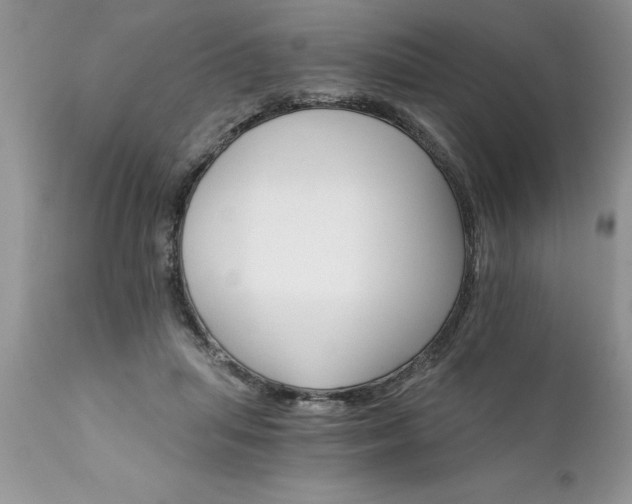 X0000111800455200907301213
