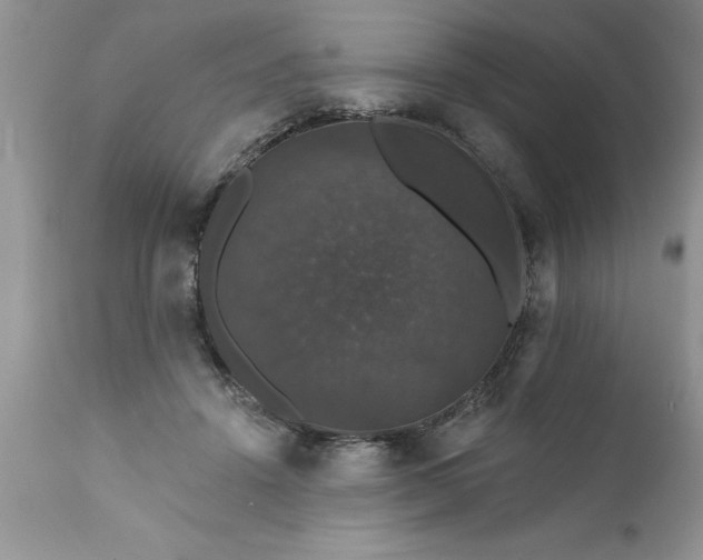 X0000111800456200907301213