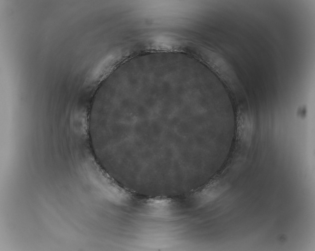 X0000111800457200907301213