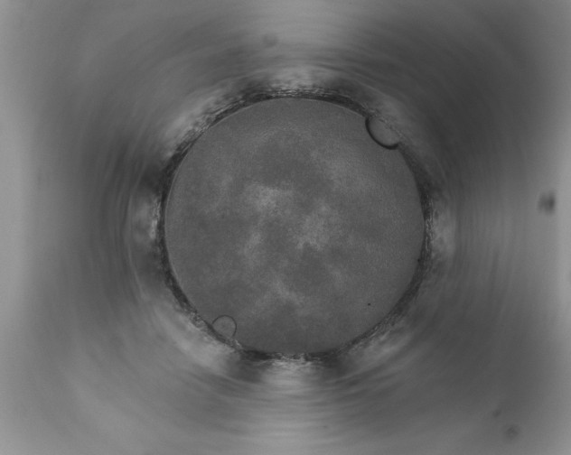 X0000111800458200907301213