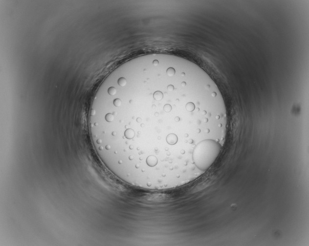 X0000111800459200907301213