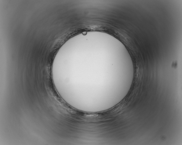 X0000111800461200907301213