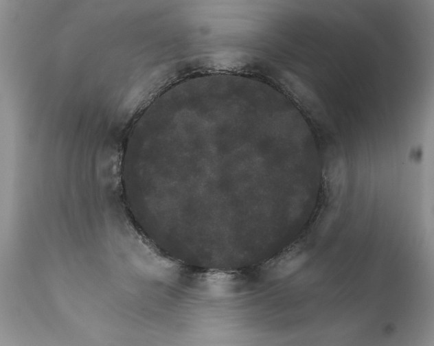 X0000111800462200907301214