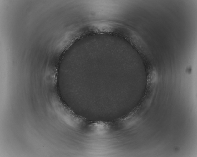 X0000111800464200907301214
