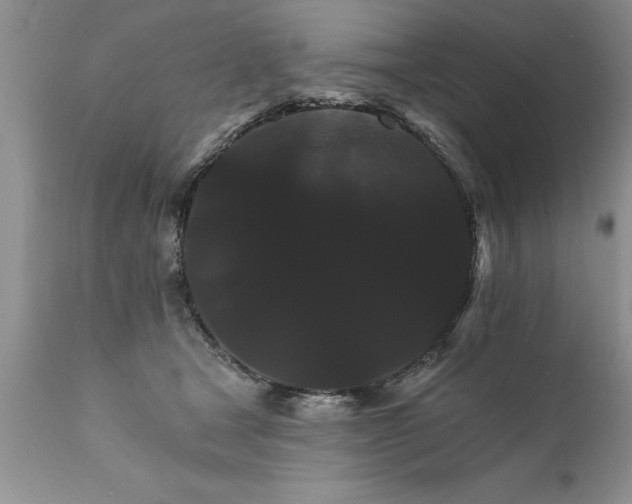 X0000111800465200907301214