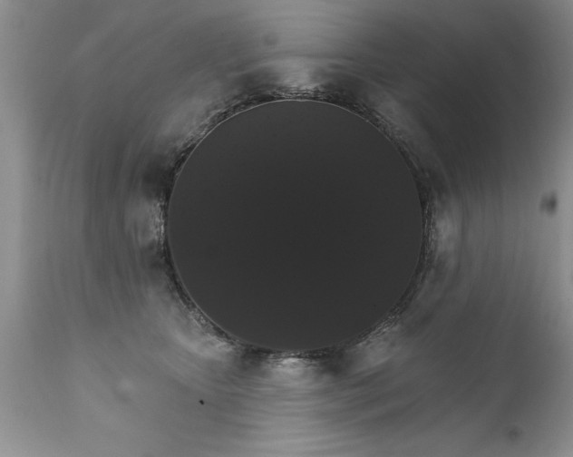 X0000111800467200907301214