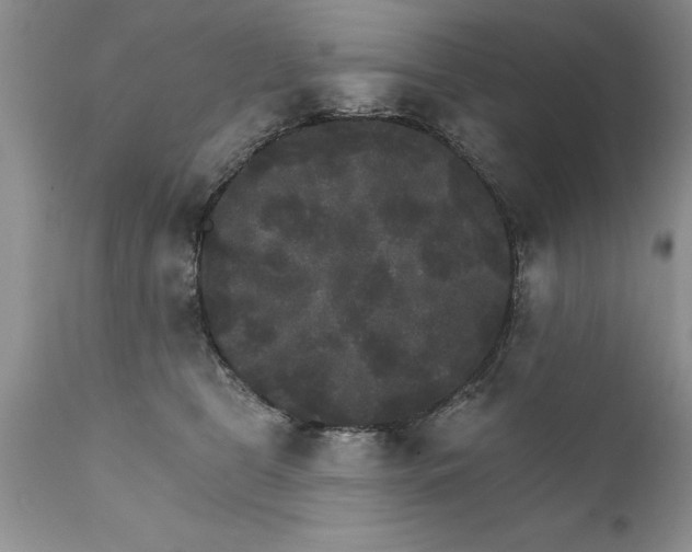X0000111800469200907301214