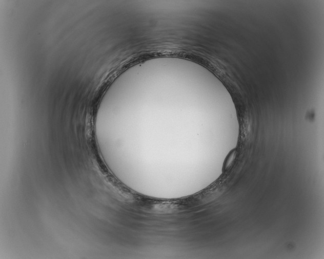 X0000111800470200907301214