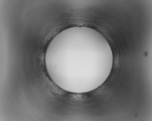 X0000111800473200907301214