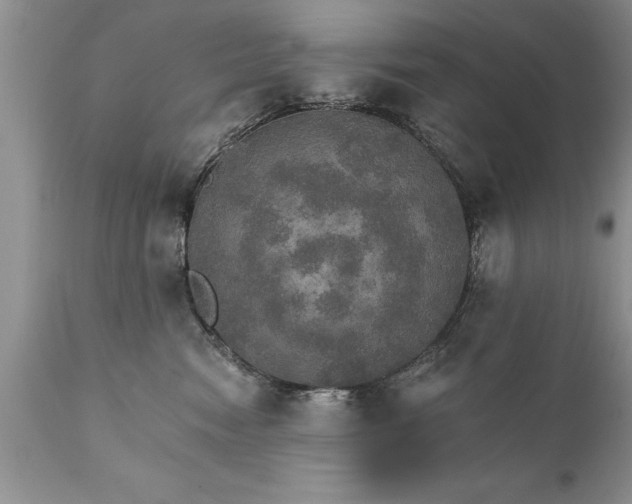 X0000111800474200907301214