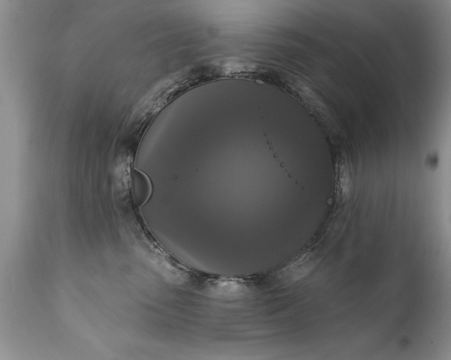X0000111800475200907301214