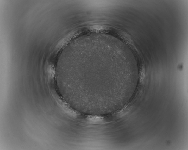 X0000111800476200907301214