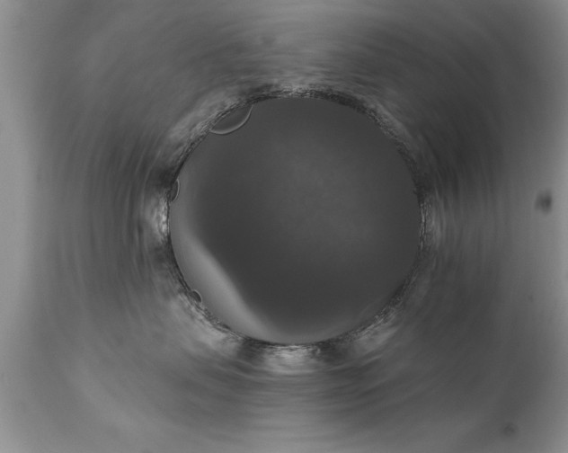 X0000111800479200907301214