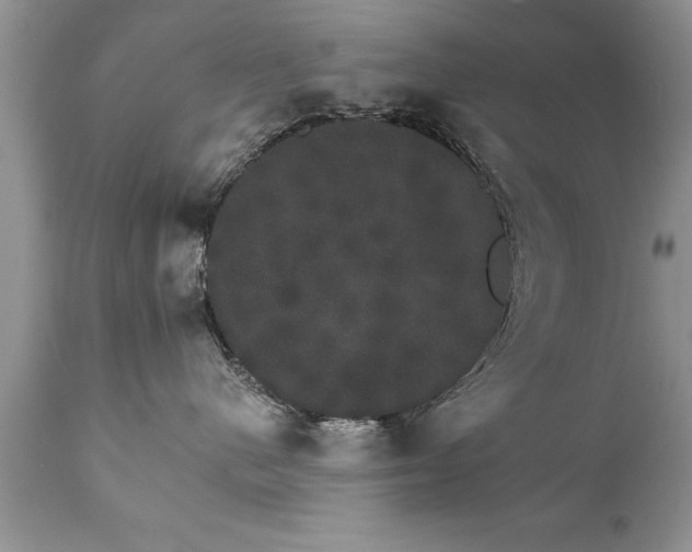X0000111800480200907301214