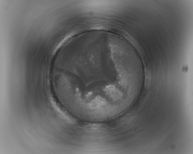 X0000111800482200907301213
