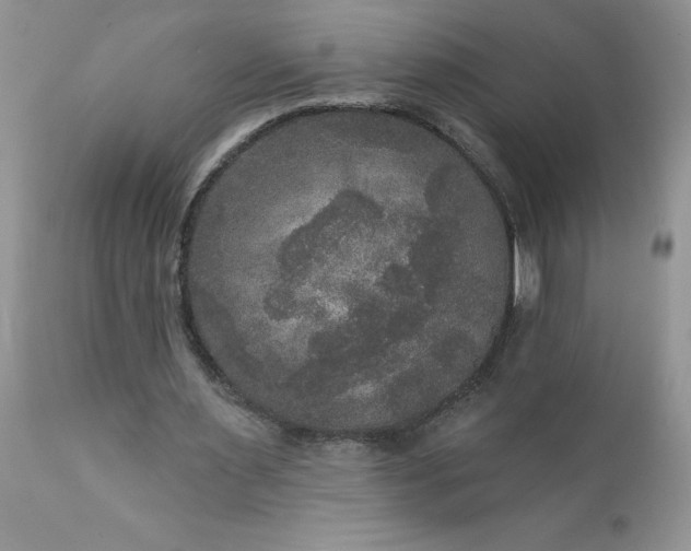X0000111800483200907301213