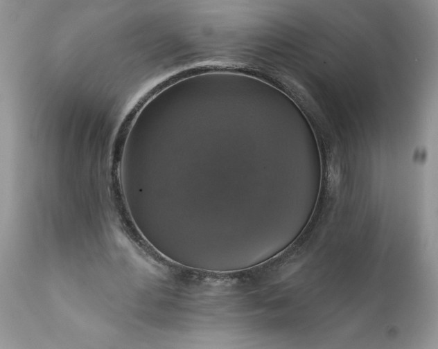 X0000111800484200907301213