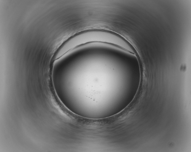 X0000111800485200907301213